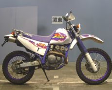 Yamaha TT250R RAID